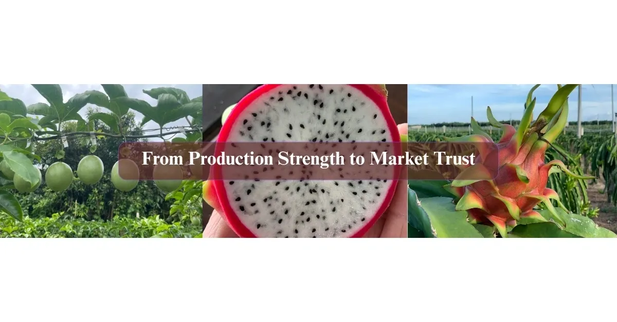 From production strength to market trust banner featuring passion fruit and dragon fruit